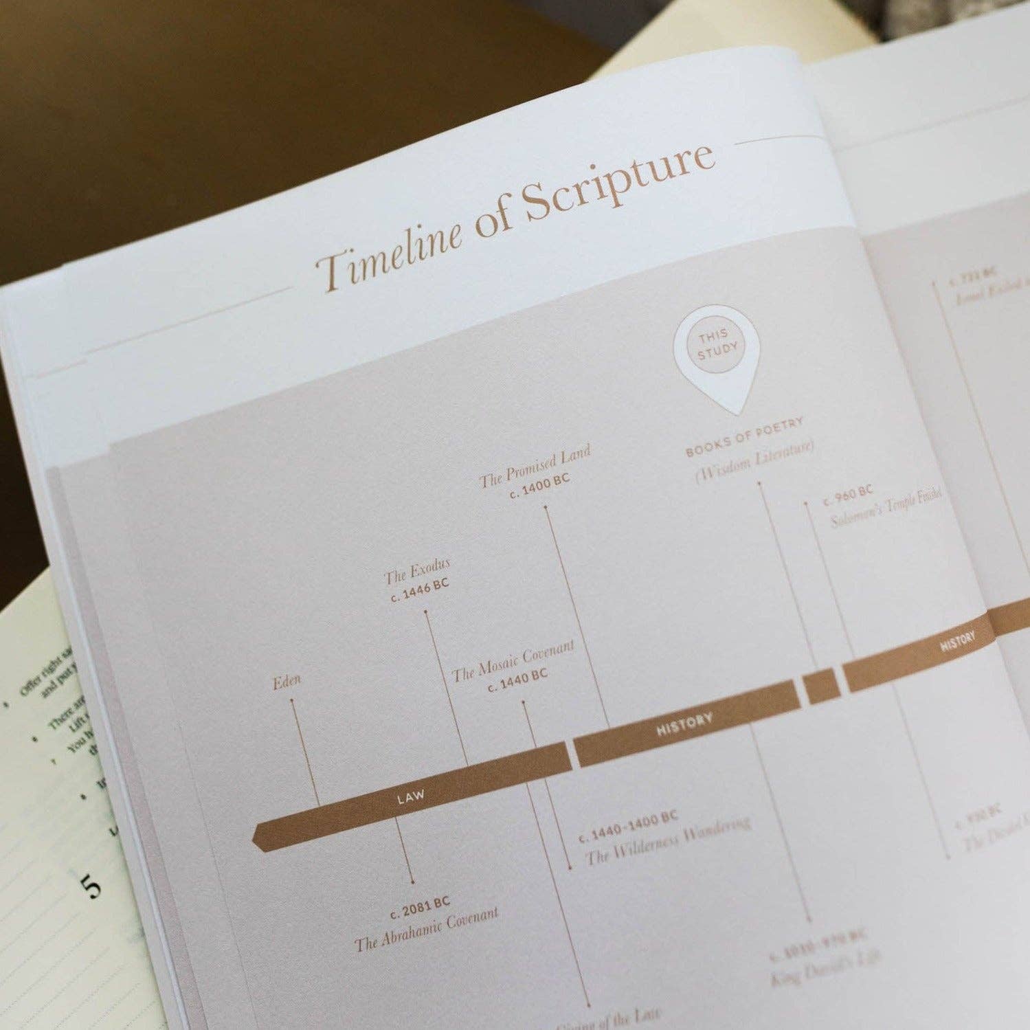 Delight | Psalms 1-30